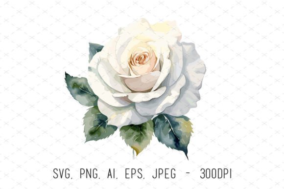 White Wedding Rose Sublimation Clipart: Elegant Floral Designs
